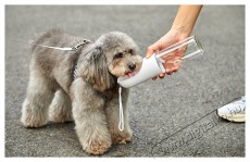 PetKit Eversweet Hordozhat&oacute; itat&oacute; (400 ml) Everswee Travel S400 H&aacute;ztart&aacute;s / Otthon / K&uuml;lt&eacute;r - Egy&eacute;b h&aacute;ztart&aacute;si term&eacute;k - 493163