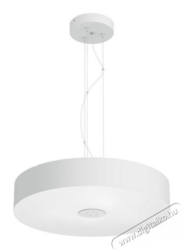 PHILIPS Fair Hue pendant white 1x39W + DIMSwitch 4033931P7-fali l&aacute;mpa H&aacute;ztart&aacute;s / Otthon / K&uuml;lt&eacute;r - Vil&aacute;g&iacute;t&aacute;s / elektromoss&aacute;g - Fali / mennyezeti l&aacute;mpa - 328682