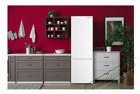 Philco PCS 262 EW HŰTŐ ALULFAGYASZT&Oacute;S Konyhai term&eacute;kek - Hűtő, fagyaszt&oacute; (szabadon&aacute;ll&oacute;) - Alulfagyaszt&oacute;s kombin&aacute;lt hűtő - 502902