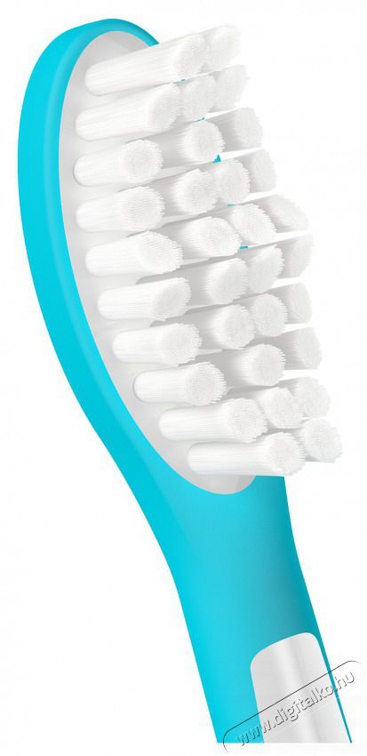 PHILIPS HX6042/90 GYEREK FOGKEFEFEJ 2 DB Sz&eacute;ps&eacute;g&aacute;pol&aacute;s / Eg&eacute;szs&eacute;g - Sz&aacute;j / fog &aacute;pol&aacute;s - Kieg&eacute;sz&iacute;tő - 517146