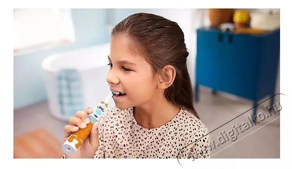 PHILIPS HX3601/01 ELEKTROMOS FOGKEFE SZ&Oacute;NIKUS Sz&eacute;ps&eacute;g&aacute;pol&aacute;s / Eg&eacute;szs&eacute;g - Sz&aacute;j / fog &aacute;pol&aacute;s - Elektromos fogkefe - 517074