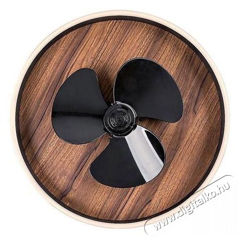 R&Aacute;BALUX 71016 Faustine H&aacute;ztart&aacute;s / Otthon / K&uuml;lt&eacute;r - Ventil&aacute;tor / L&eacute;gkondicion&aacute;l&oacute; - Fali / mennyezeti ventil&aacute;tor - 512218