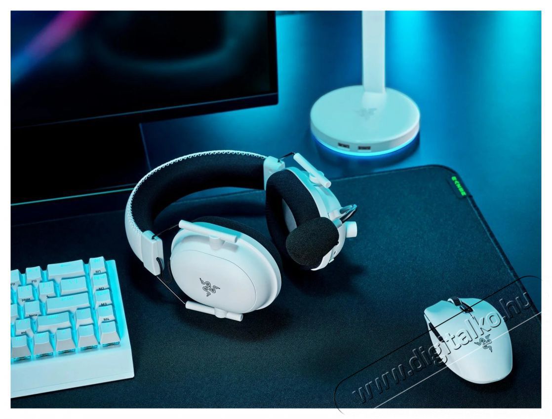 Razer Blackshark V2 Pro - White Ed. Audio-Video / Hifi / Multim&eacute;dia - F&uuml;l &eacute;s Fejhallgat&oacute;k - Fejhallgat&oacute; mikrofonnal / headset - 494255