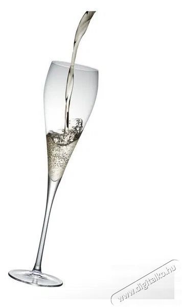 RONA Pezsgőspoh&aacute;r 280 ml GRACE 2 db Konyhai term&eacute;kek - Konyhai eszk&ouml;z - K&eacute;szlet / szett - 525873