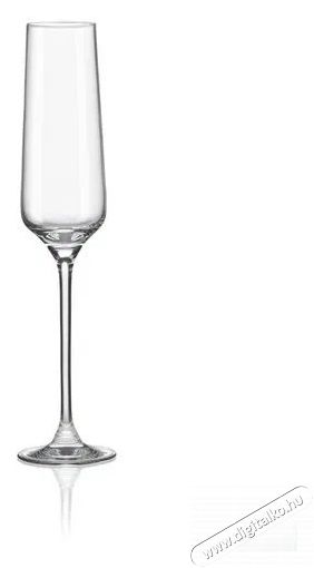 RONA pezsgőspoharak 190 ml CHARISMA 4 db Konyhai term&eacute;kek - Konyhai eszk&ouml;z - K&eacute;szlet / szett - 525875