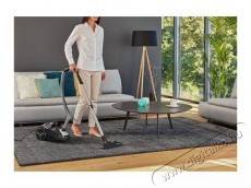 Rowenta RO3985EA porzs&aacute;kos porsz&iacute;v&oacute; H&aacute;ztart&aacute;s / Otthon / K&uuml;lt&eacute;r - Porsz&iacute;v&oacute; / takar&iacute;t&oacute;g&eacute;p - Porzs&aacute;kos porsz&iacute;v&oacute; - 500201