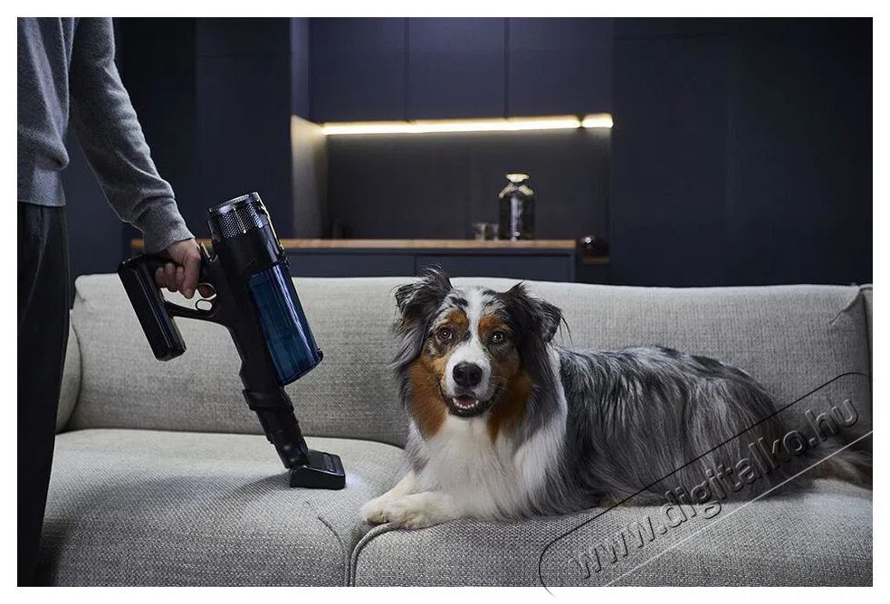 Rowenta RH9AD1WO X-Force Flex 13.60 Auto Animal Aerospin Aqua 150 AW H&aacute;ztart&aacute;s / Otthon / K&uuml;lt&eacute;r - Porsz&iacute;v&oacute; / takar&iacute;t&oacute;g&eacute;p - K&eacute;zi / &aacute;ll&oacute; porsz&iacute;v&oacute; - 503633