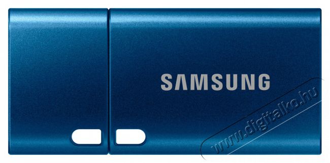 SAMSUNG USB Type-C 64 GB flash drive Mem&oacute;ria k&aacute;rtya / Pendrive - Pendrive - 461886
