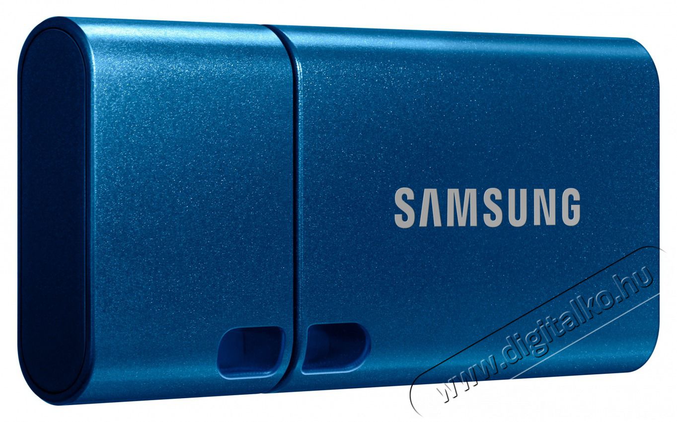 SAMSUNG USB Type-C 64 GB flash drive Mem&oacute;ria k&aacute;rtya / Pendrive - Pendrive - 461886