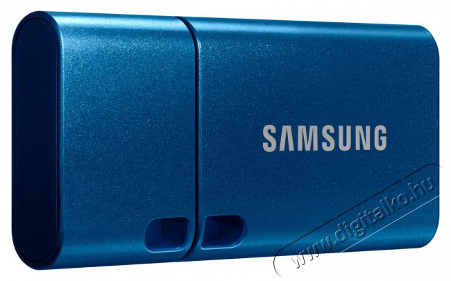 SAMSUNG USB Type-C 64 GB flash drive Mem&oacute;ria k&aacute;rtya / Pendrive - Pendrive - 461886