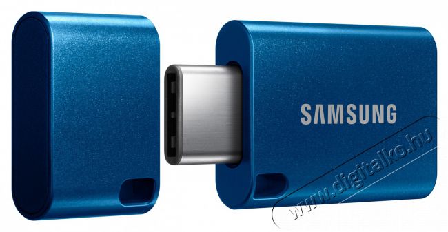 SAMSUNG USB Type-C 64 GB flash drive Mem&oacute;ria k&aacute;rtya / Pendrive - Pendrive - 461886