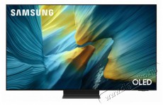 SAMSUNG QE55S95FATXXH 139cm-es OLED 4K Vision AI Smart TV Telev&iacute;zi&oacute;k - OLED telev&iacute;zi&oacute; - UHD 4K felbont&aacute;s&uacute; - 506161