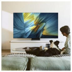 SAMSUNG QE65S95FATXXH 165cm-es OLED 4K Vision AI Smart TV Telev&iacute;zi&oacute;k - OLED telev&iacute;zi&oacute; - UHD 4K felbont&aacute;s&uacute; - 506151
