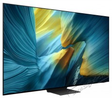 SAMSUNG 83  QE83S95F Telev&iacute;zi&oacute;k - OLED telev&iacute;zi&oacute; - UHD 4K felbont&aacute;s&uacute; - 506018