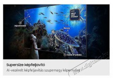 SAMSUNG QE55QN80FAUXXH 139cm-es Neo QLED 4K Vision AI Smart TV Telev&iacute;zi&oacute;k - LED telev&iacute;zi&oacute; - UHD 4K felbont&aacute;s&uacute; - 506160