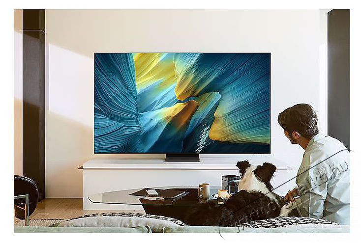 SAMSUNG QE55S95FATXXH 139cm-es OLED 4K Vision AI Smart TV Telev&iacute;zi&oacute;k - OLED telev&iacute;zi&oacute; - UHD 4K felbont&aacute;s&uacute; - 506161