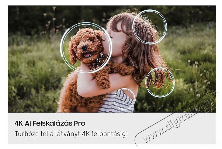 SAMSUNG QE65S90FATXXH 165cm-es OLED 4K Vision AI Smart TV Telev&iacute;zi&oacute;k - OLED telev&iacute;zi&oacute; - UHD 4K felbont&aacute;s&uacute; - 506166