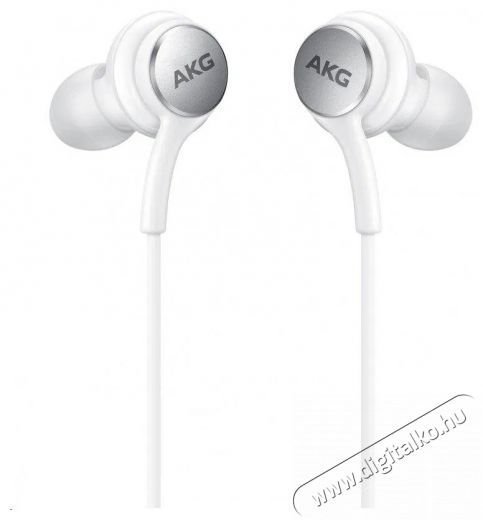 SAMSUNG USB-C Stereo HF White (OOB Bulk) Audio-Video / Hifi / Multim&eacute;dia - F&uuml;l &eacute;s Fejhallgat&oacute;k - F&uuml;lhallgat&oacute; mikrofonnal / headset - 510204