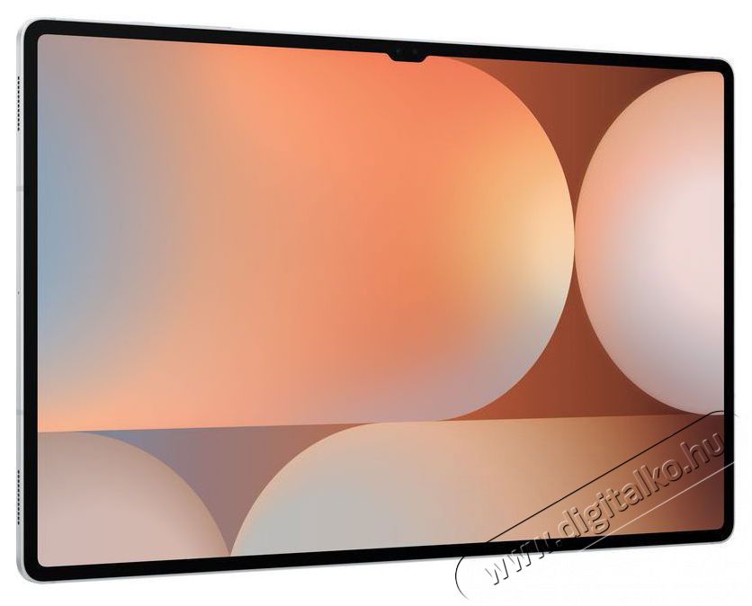SAMSUNG Galaxy Tab S10 Ultra WiFi 12GB / 512GB Platinum Silver tablet Mobil / Kommunik&aacute;ci&oacute; / Smart - Tablet - Android tablet - 521335