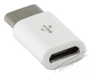 Sbox AD.USB-C W/R USB 2.0 anya - Type-C apa feh&eacute;r adapter Iroda &eacute;s sz&aacute;m&iacute;t&aacute;stechnika - Sz&aacute;m&iacute;t&oacute;g&eacute;p tartoz&eacute;k - USB k&aacute;bel - 507063