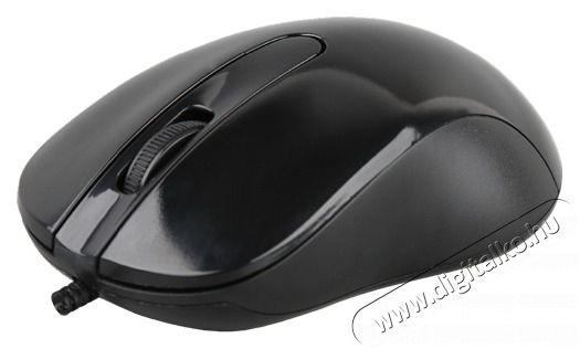 Sbox M-901B USB 1000dpi fekete vezet&eacute;kes eg&eacute;r Iroda &eacute;s sz&aacute;m&iacute;t&aacute;stechnika - Eg&eacute;r - Vezet&eacute;kes eg&eacute;r - 507054