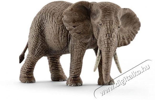 Schleich 14761 Elef&aacute;nt afrikai elef&aacute;nt H&aacute;ztart&aacute;s / Otthon / K&uuml;lt&eacute;r - J&aacute;t&eacute;k / Sport - J&aacute;t&eacute;kfigura - 532150