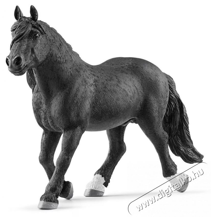 Schleich Farm World 13958 N&oacute;ri m&eacute;n H&aacute;ztart&aacute;s / Otthon / K&uuml;lt&eacute;r - J&aacute;t&eacute;k / Sport - J&aacute;t&eacute;kfigura - 534613