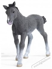 Schleich trakehner csik&oacute; figura H&aacute;ztart&aacute;s / Otthon / K&uuml;lt&eacute;r - J&aacute;t&eacute;k / Sport - J&aacute;t&eacute;kfigura - 533764