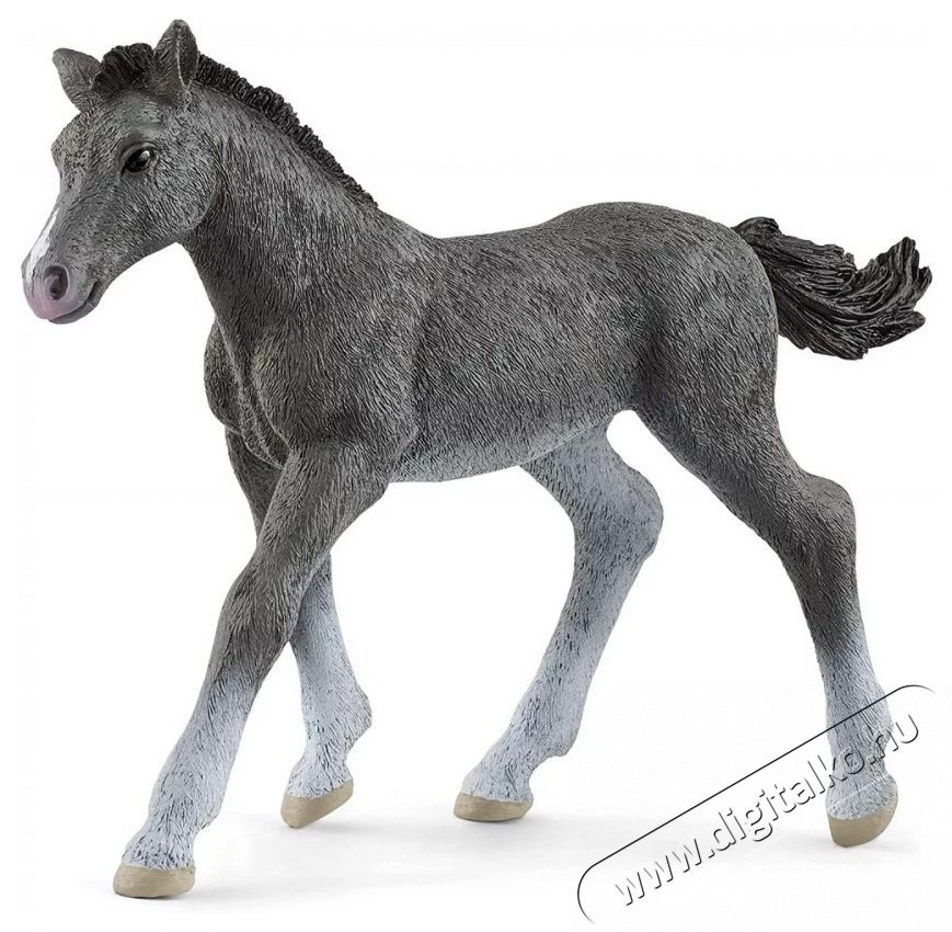 Schleich trakehner csik&oacute; figura H&aacute;ztart&aacute;s / Otthon / K&uuml;lt&eacute;r - J&aacute;t&eacute;k / Sport - J&aacute;t&eacute;kfigura - 533764