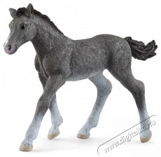 Schleich trakehner csik&oacute; figura H&aacute;ztart&aacute;s / Otthon / K&uuml;lt&eacute;r - J&aacute;t&eacute;k / Sport - J&aacute;t&eacute;kfigura - 533764