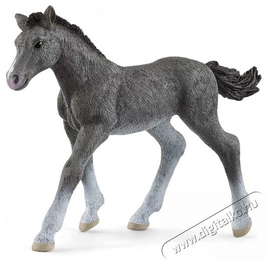 Schleich trakehner csik&oacute; figura H&aacute;ztart&aacute;s / Otthon / K&uuml;lt&eacute;r - J&aacute;t&eacute;k / Sport - J&aacute;t&eacute;kfigura - 533764
