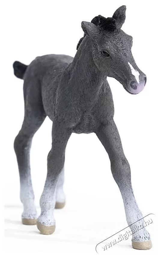 Schleich trakehner csik&oacute; figura H&aacute;ztart&aacute;s / Otthon / K&uuml;lt&eacute;r - J&aacute;t&eacute;k / Sport - J&aacute;t&eacute;kfigura - 533764