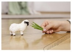 Schleich Farm World 13965 Wallisi feketeorr&uacute; b&aacute;r&aacute;ny H&aacute;ztart&aacute;s / Otthon / K&uuml;lt&eacute;r - J&aacute;t&eacute;k / Sport - J&aacute;t&eacute;kfigura - 533753