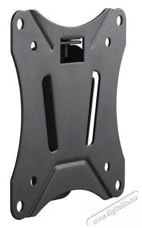 SCHWAIGER Fixed 1 LWHF2725513 13 - 29 LCD TV fali tart&oacute; Tv kieg&eacute;sz&iacute;tők - Fali tart&oacute; / konzol - Fali tv tart&oacute; - 531476