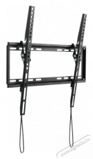 SCHWAIGER Tilt 2 LWHT5535513 32 - 75 LCD TV-fali tart&oacute; Tv kieg&eacute;sz&iacute;tők - Fali tart&oacute; / konzol - Fali tv tart&oacute; - 531491