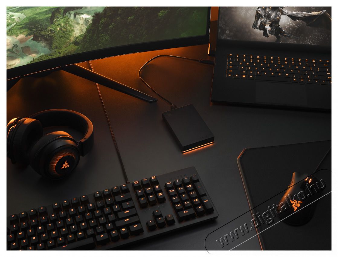 Seagate FireCuda 2TB USB gamer k&uuml;lső merevlemez Iroda &eacute;s sz&aacute;m&iacute;t&aacute;stechnika - Adatt&aacute;rol&oacute; / merevlemez - K&uuml;lső HDD - 455237