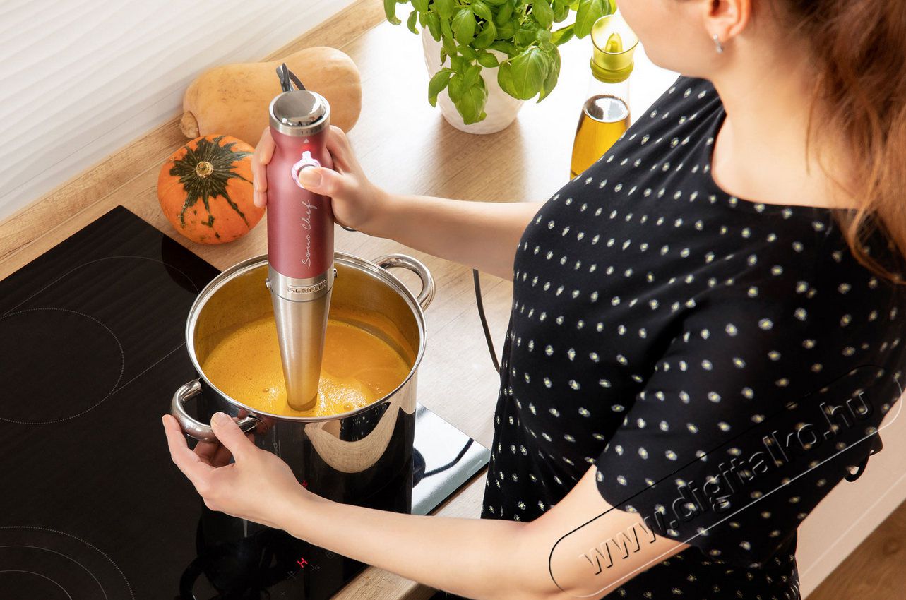 Sencor SHB 5604RD-EUE3 4in1 botmixer szett - piros Konyhai term&eacute;kek - Konyhai kisg&eacute;p (elők&eacute;sz&iacute;t&eacute;s / feldolgoz&aacute;s) - Botmixer - 354923