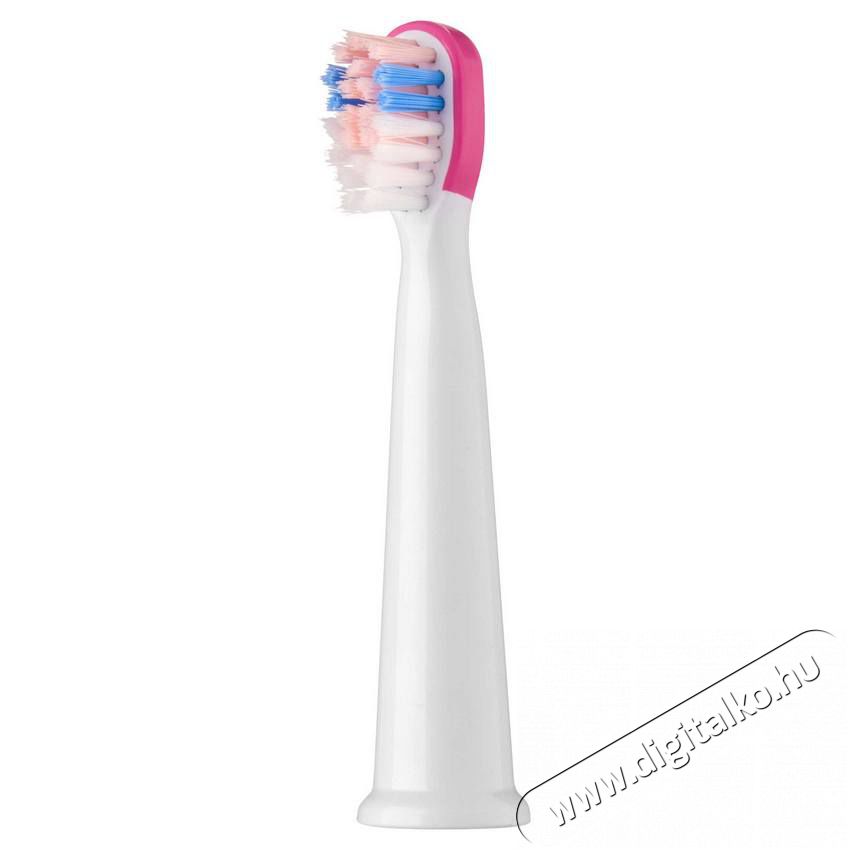 Sencor SOX 013RS P&oacute;t fogkefefej 2db (SOC 091X) Sz&eacute;ps&eacute;g&aacute;pol&aacute;s / Eg&eacute;szs&eacute;g - Sz&aacute;j / fog &aacute;pol&aacute;s - Kieg&eacute;sz&iacute;tő - 352024