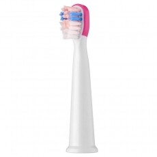 Sencor SOX 013RS P&oacute;t fogkefefej 2db (SOC 091X) Sz&eacute;ps&eacute;g&aacute;pol&aacute;s / Eg&eacute;szs&eacute;g - Sz&aacute;j / fog &aacute;pol&aacute;s - Kieg&eacute;sz&iacute;tő - 352024