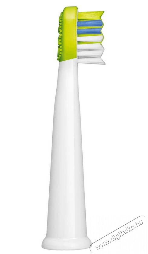 Sencor SOX 014GR P&oacute;t fogkefefej 2db (SOC 091X) Sz&eacute;ps&eacute;g&aacute;pol&aacute;s / Eg&eacute;szs&eacute;g - Sz&aacute;j / fog &aacute;pol&aacute;s - Kieg&eacute;sz&iacute;tő - 352025
