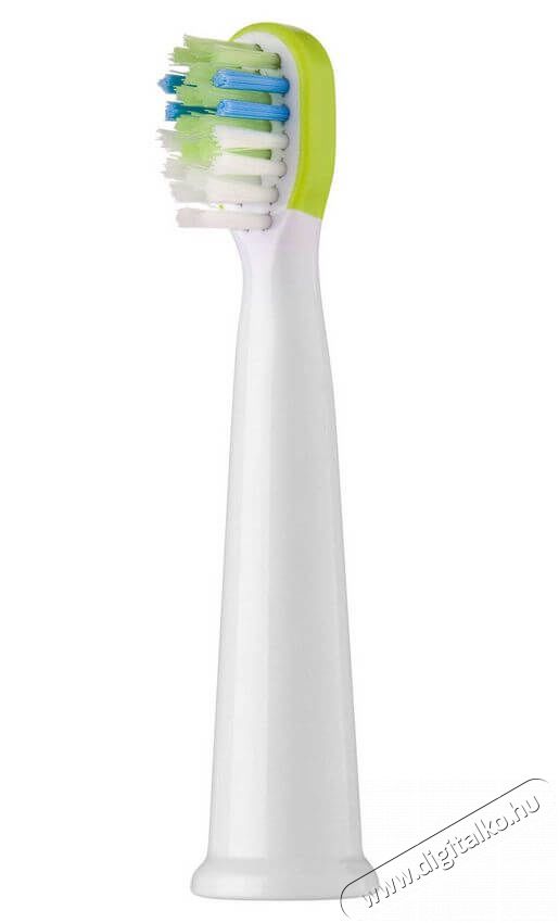 Sencor SOX 014GR P&oacute;t fogkefefej 2db (SOC 091X) Sz&eacute;ps&eacute;g&aacute;pol&aacute;s / Eg&eacute;szs&eacute;g - Sz&aacute;j / fog &aacute;pol&aacute;s - Kieg&eacute;sz&iacute;tő - 352025