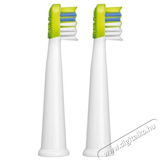 Sencor SOX 014GR P&oacute;t fogkefefej 2db (SOC 091X) Sz&eacute;ps&eacute;g&aacute;pol&aacute;s / Eg&eacute;szs&eacute;g - Sz&aacute;j / fog &aacute;pol&aacute;s - Kieg&eacute;sz&iacute;tő - 352025