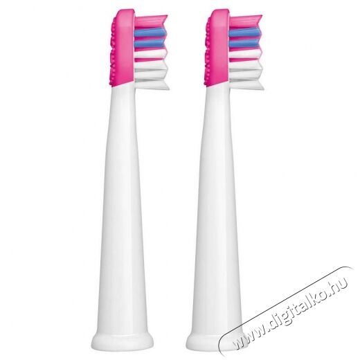 Sencor SOX 013RS P&oacute;t fogkefefej 2db (SOC 091X) Sz&eacute;ps&eacute;g&aacute;pol&aacute;s / Eg&eacute;szs&eacute;g - Sz&aacute;j / fog &aacute;pol&aacute;s - Kieg&eacute;sz&iacute;tő - 352024