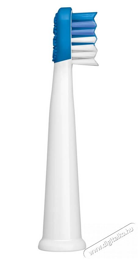 Sencor SOX 012BL P&oacute;t fogkefefej 2db (SOC 091X) Sz&eacute;ps&eacute;g&aacute;pol&aacute;s / Eg&eacute;szs&eacute;g - Sz&aacute;j / fog &aacute;pol&aacute;s - Kieg&eacute;sz&iacute;tő - 352023