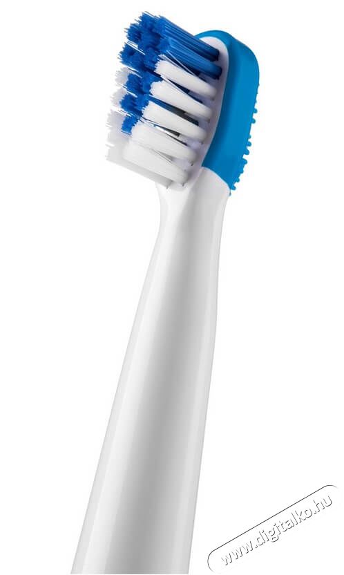 Sencor SOX 012BL P&oacute;t fogkefefej 2db (SOC 091X) Sz&eacute;ps&eacute;g&aacute;pol&aacute;s / Eg&eacute;szs&eacute;g - Sz&aacute;j / fog &aacute;pol&aacute;s - Kieg&eacute;sz&iacute;tő - 352023