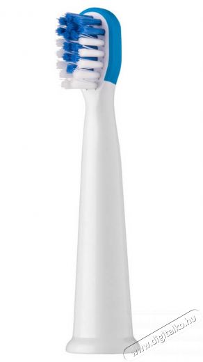 Sencor SOX 012BL P&oacute;t fogkefefej 2db (SOC 091X) Sz&eacute;ps&eacute;g&aacute;pol&aacute;s / Eg&eacute;szs&eacute;g - Sz&aacute;j / fog &aacute;pol&aacute;s - Kieg&eacute;sz&iacute;tő - 352023