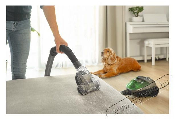 Sencor SVC 1016GR 3AAA z&ouml;ld porzs&aacute;k n&eacute;lk&uuml;li porsz&iacute;v&oacute; H&aacute;ztart&aacute;s / Otthon / K&uuml;lt&eacute;r - Porsz&iacute;v&oacute; / takar&iacute;t&oacute;g&eacute;p - Porzs&aacute;k n&eacute;lk&uuml;li porsz&iacute;v&oacute; - 505136