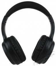 Sencor SEP PANNION ANC Black Audio-Video / Hifi / Multim&eacute;dia - F&uuml;l &eacute;s Fejhallgat&oacute;k - Fejhallgat&oacute; mikrofonnal / headset - 510205