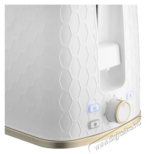 Sencor STS 7200WH + SENCOR SWK 7200WH Konyhai term&eacute;kek - Konyhai kisg&eacute;p (s&uuml;t&eacute;s / főz&eacute;s / hűt&eacute;s / &eacute;telk&eacute;sz&iacute;t&eacute;s) - Keny&eacute;rpir&iacute;t&oacute; - 513199