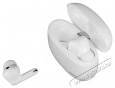 Sencor SEP MELLOW ANC TWS White Audio-Video / Hifi / Multim&eacute;dia - F&uuml;l &eacute;s Fejhallgat&oacute;k - F&uuml;lhallgat&oacute; - 519148